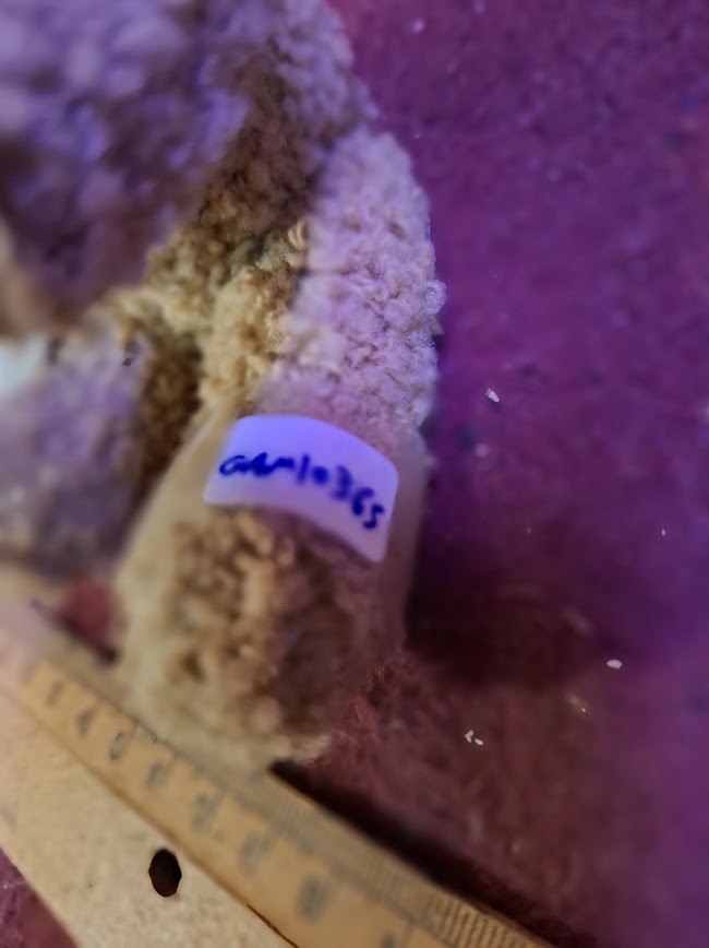 מגש נחושת למזכרת של יצחק רבין [ISR10136] 