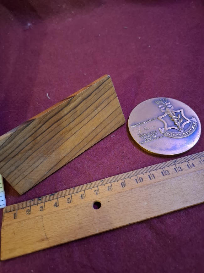 Israeli Bronze Medal - Remember day for IDF 1973 [ISR10311]