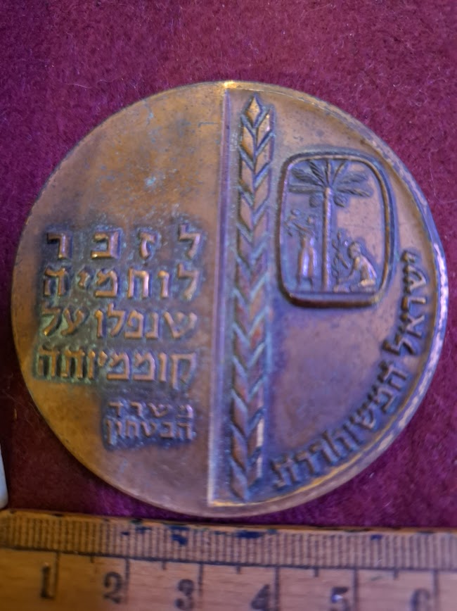 Israeli Bronze Medal - IDF 1963 remenberance day [ISR10328]