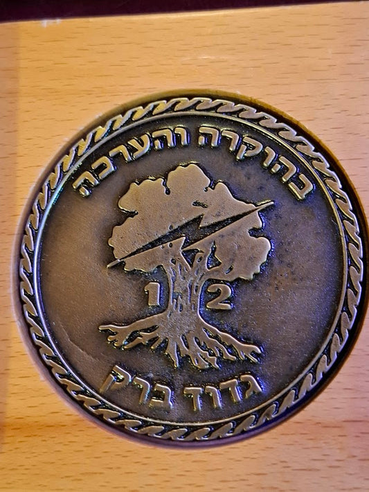 Israel bronze medal - Golani, Barak Battalion [ISR10339]