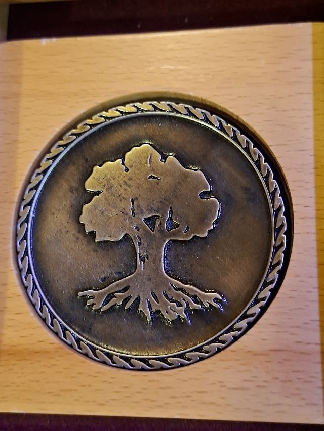 Israel bronze medal - Golani, Barak Battalion [ISR10339]