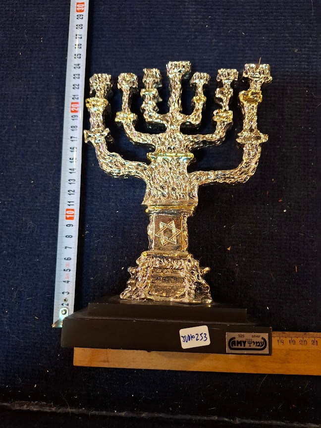 Judaica menorah 925 silver by Amy artist [JUD10253]
