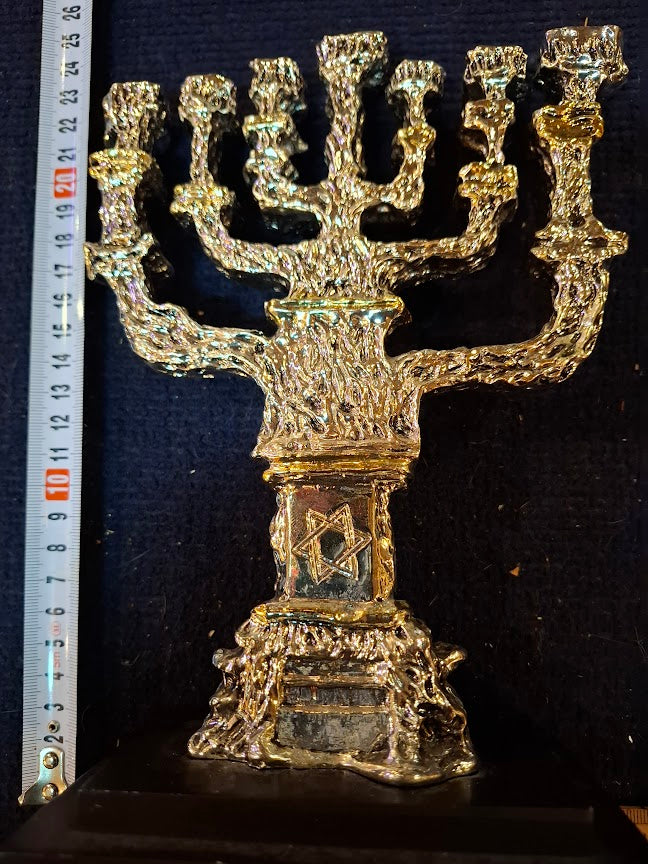 Judaica menorah 925 silver by Amy artist [JUD10253]
