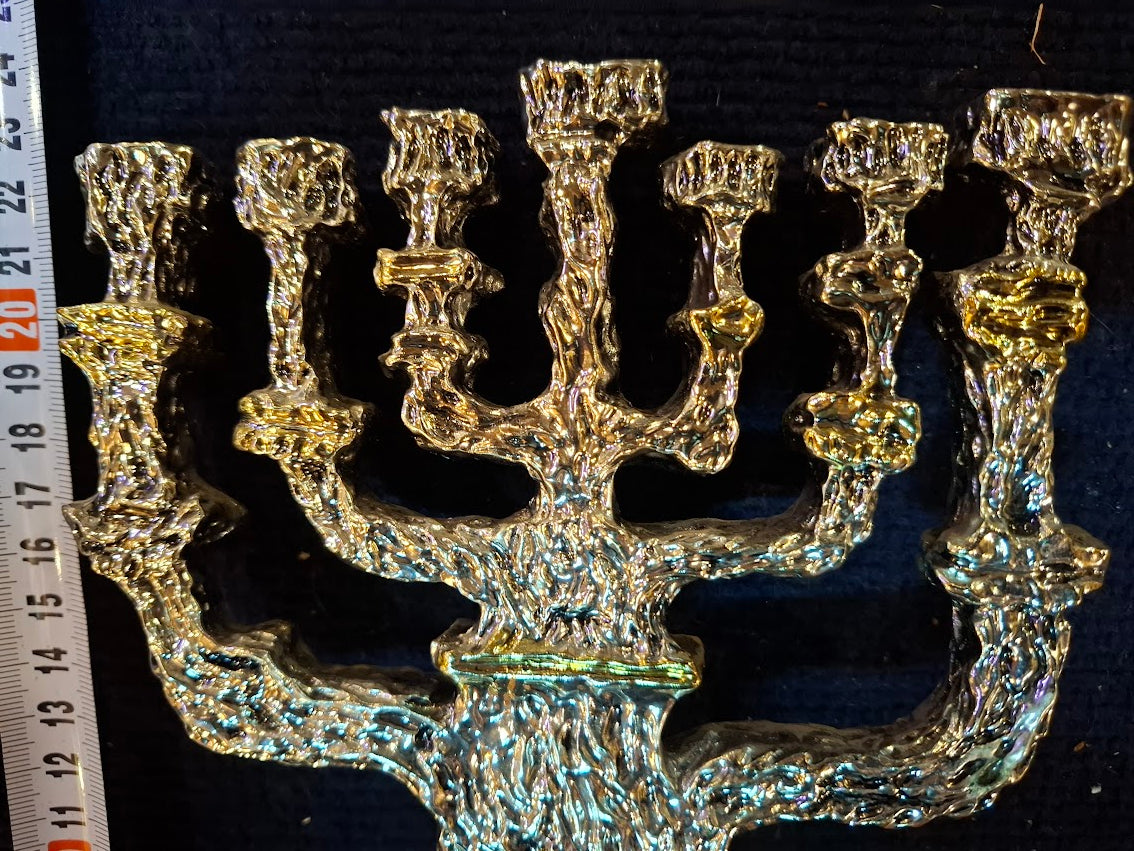 Judaica menorah 925 silver by Amy artist [JUD10253]