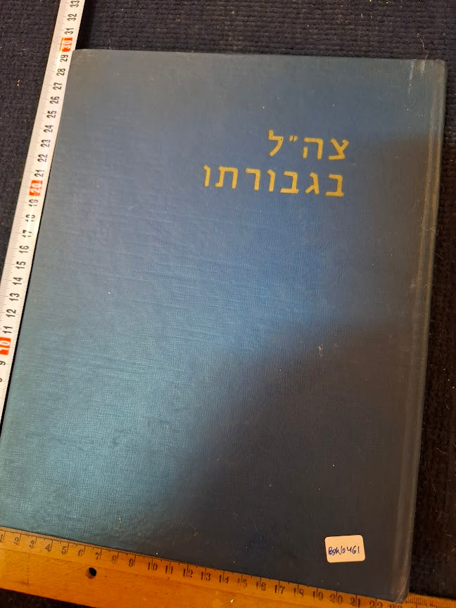 IDF in his heroism Hebrew book 1967 [BOK10461]