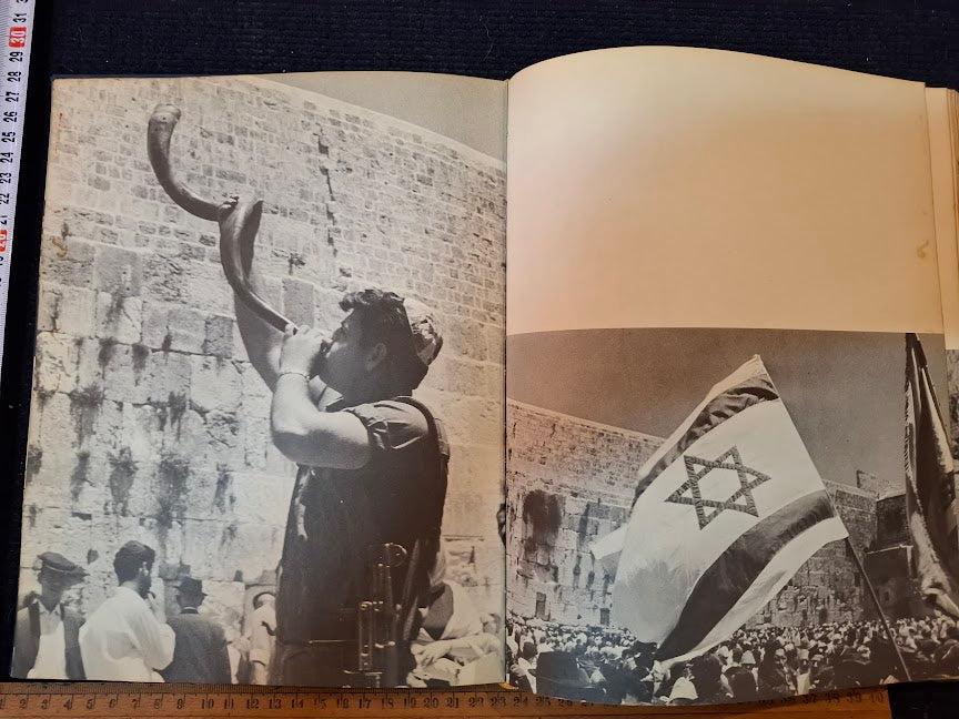 IDF in his heroism Hebrew book 1967 [BOK10461]