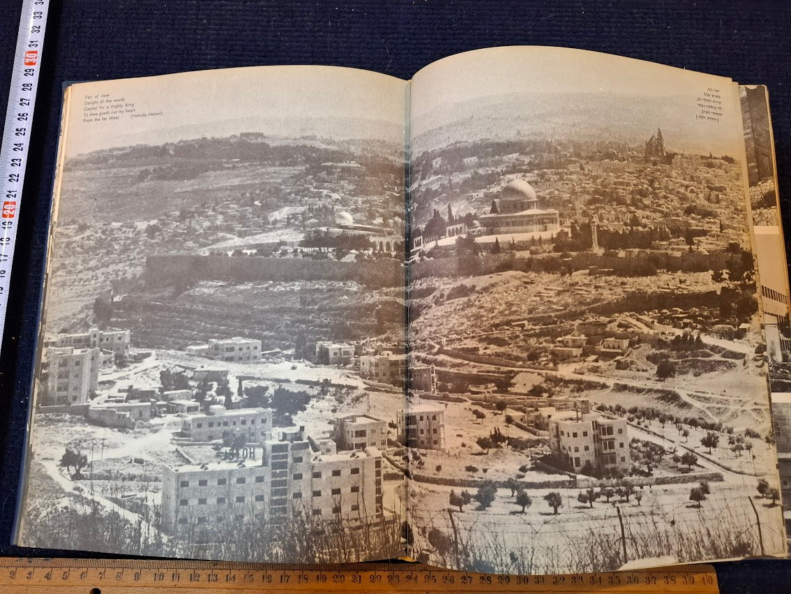 IDF in his heroism Hebrew book 1967 [BOK10461]