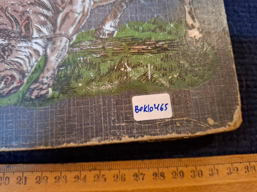 Chromos Liebig - Old collectable cards album ~1900 - Rare [BOK10465]