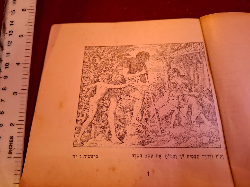 Bible in pictures book 1953 [BOK10469]