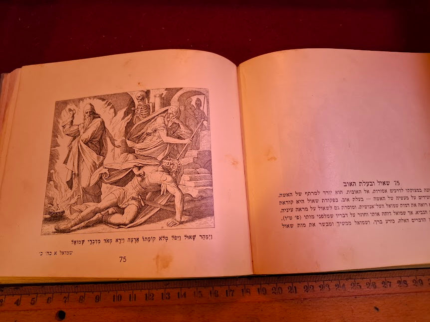 Bible in pictures book 1953 [BOK10469]