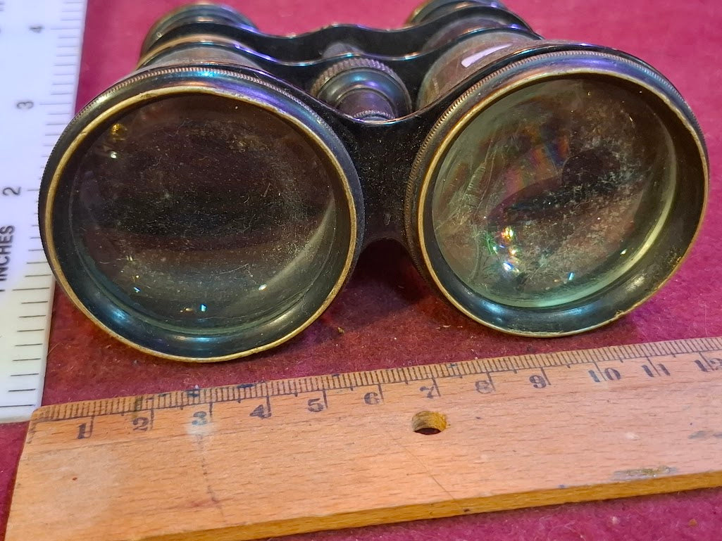 Vintage binoculars [OTH10480]