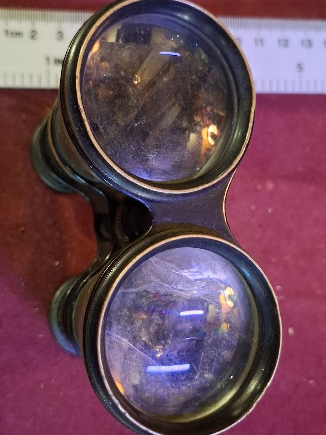 Vintage binoculars [OTH10480]