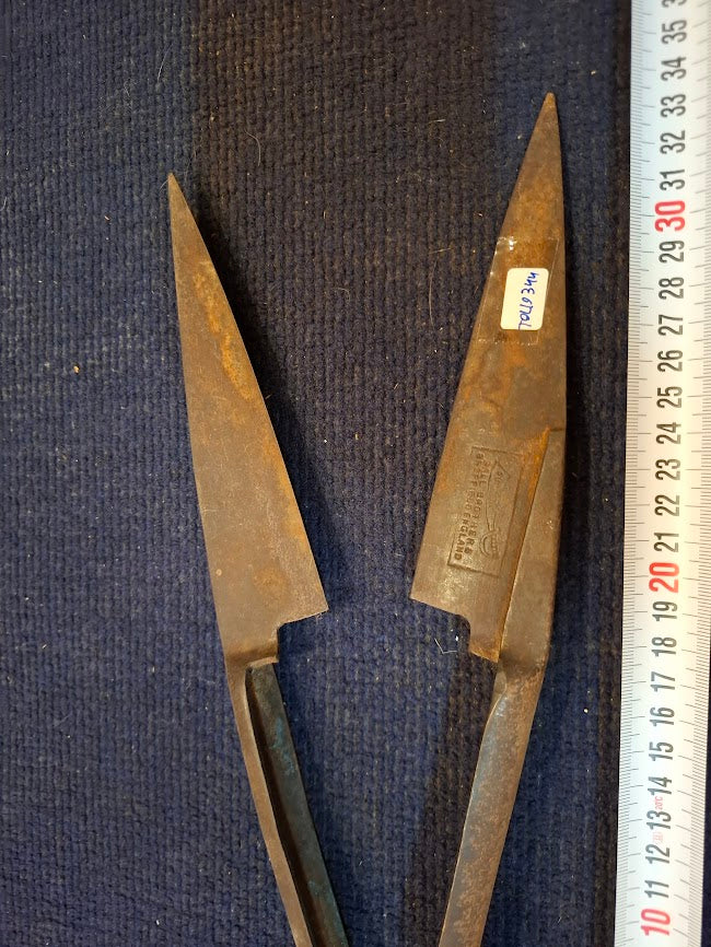 Vintage Wool shearing scissors for sheep [TOL10344]
