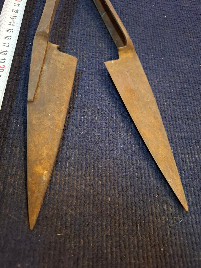 Vintage Wool shearing scissors for sheep [TOL10344]