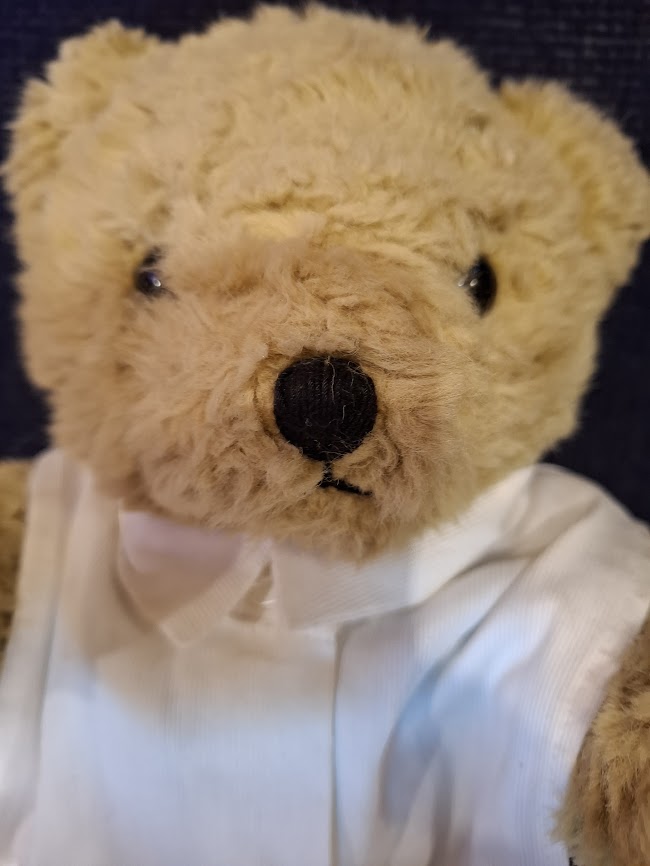 Vintage bear doll - The Traditional bear collection [GAM10398]