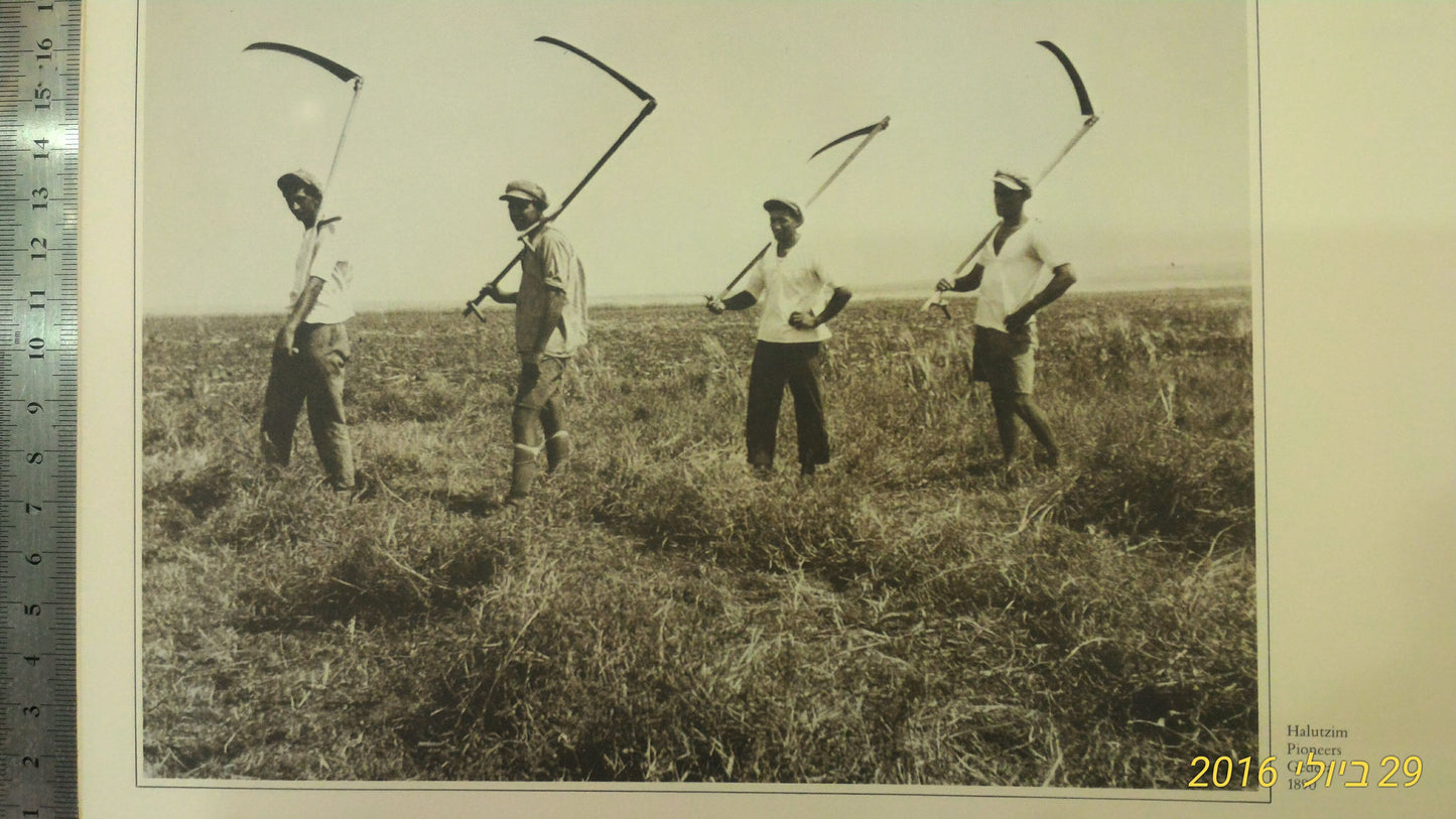 Israel old photos album 1890-1930 [BOK10104]