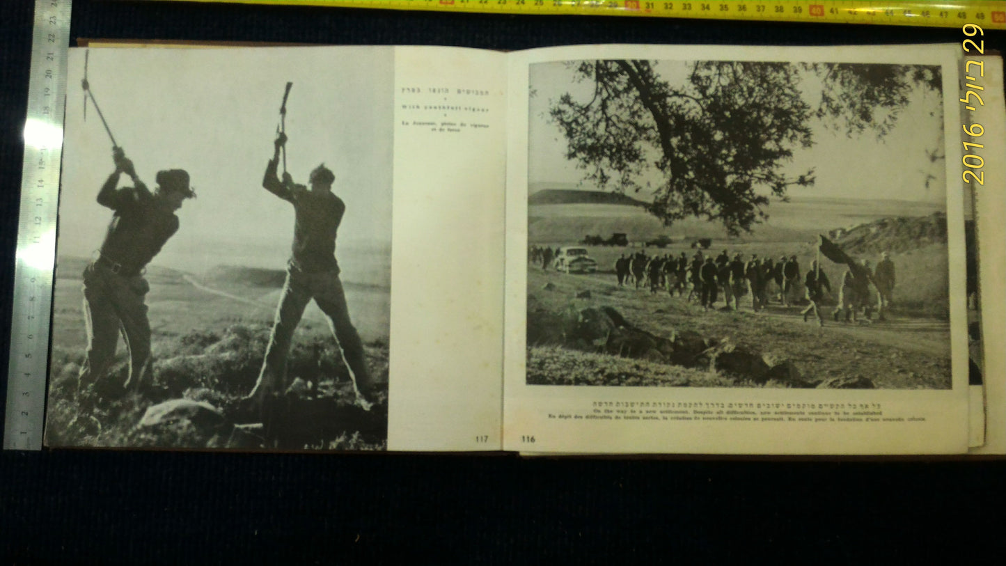 Israel reborn Hebrew album 1951 [BOK10107]