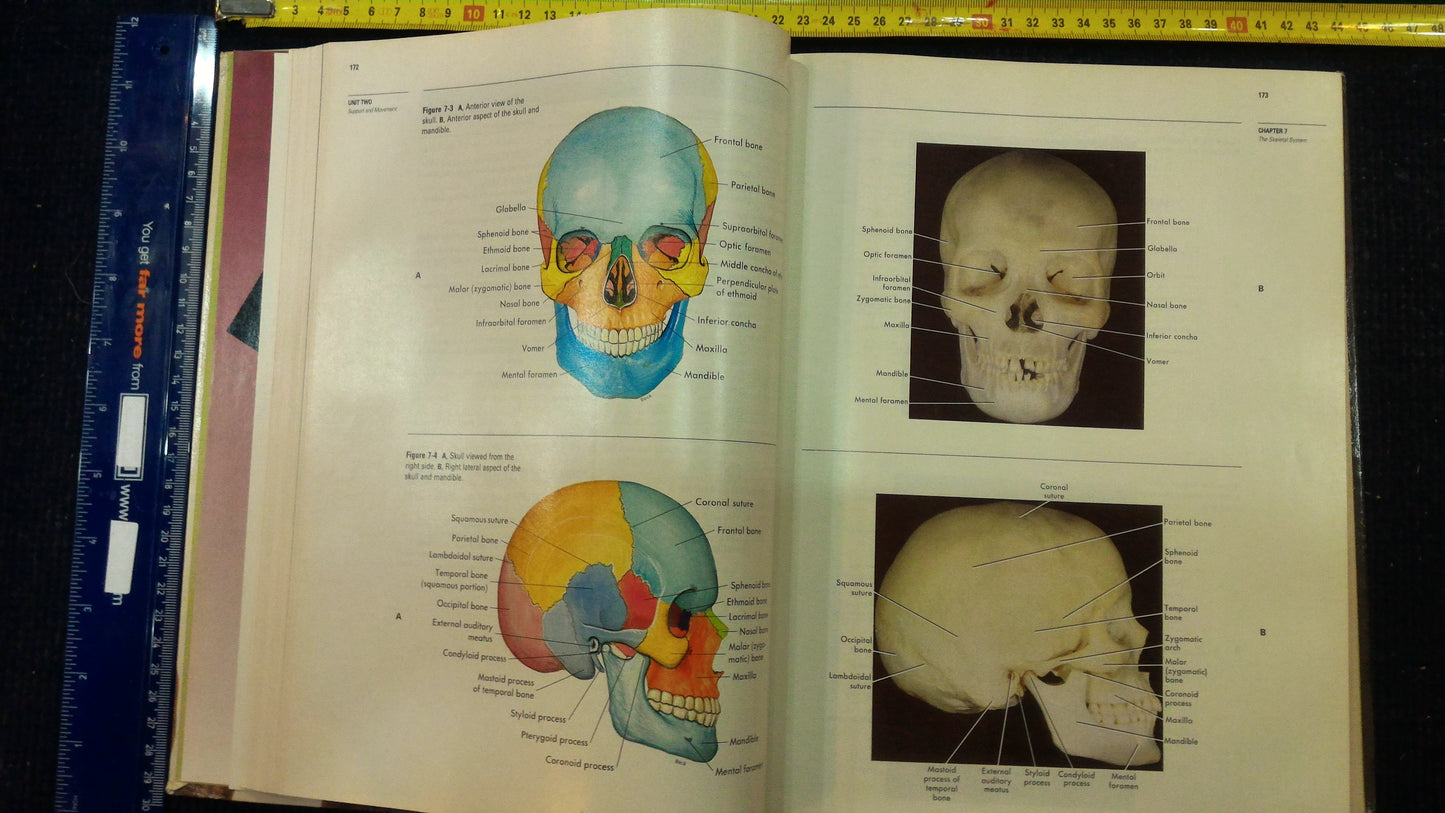 Anatomy & Physiology english profesonal book 1987 [BOK10119]
