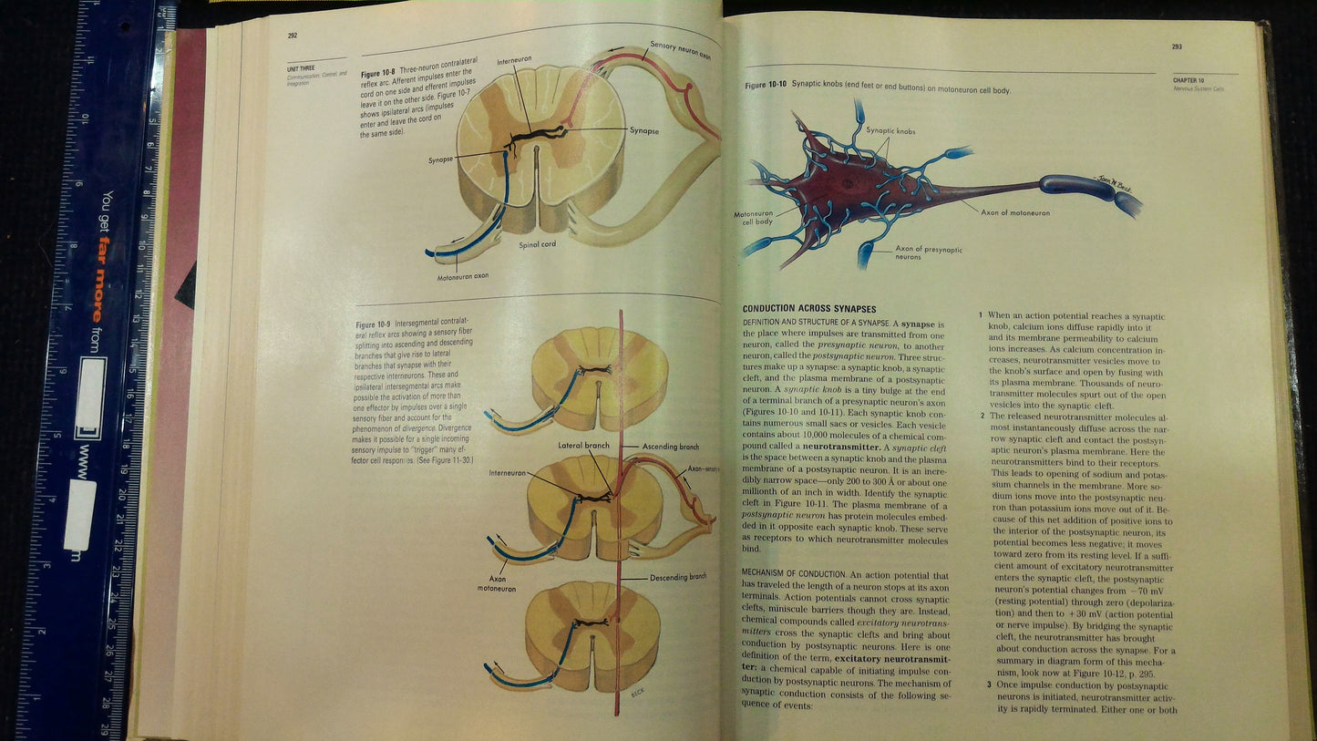 Anatomy & Physiology english profesonal book 1987 [BOK10119]