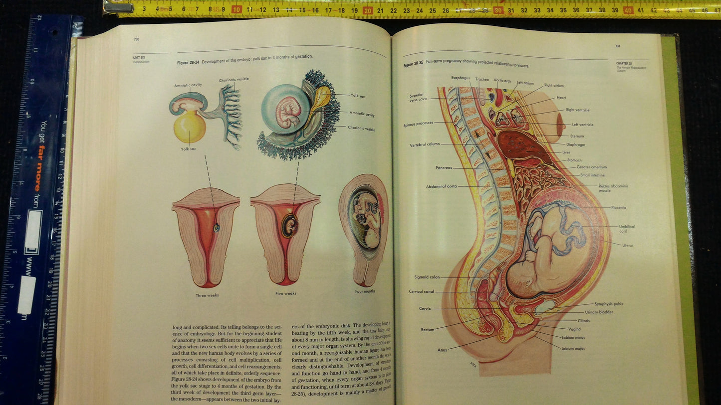Anatomy & Physiology english profesonal book 1987 [BOK10119]