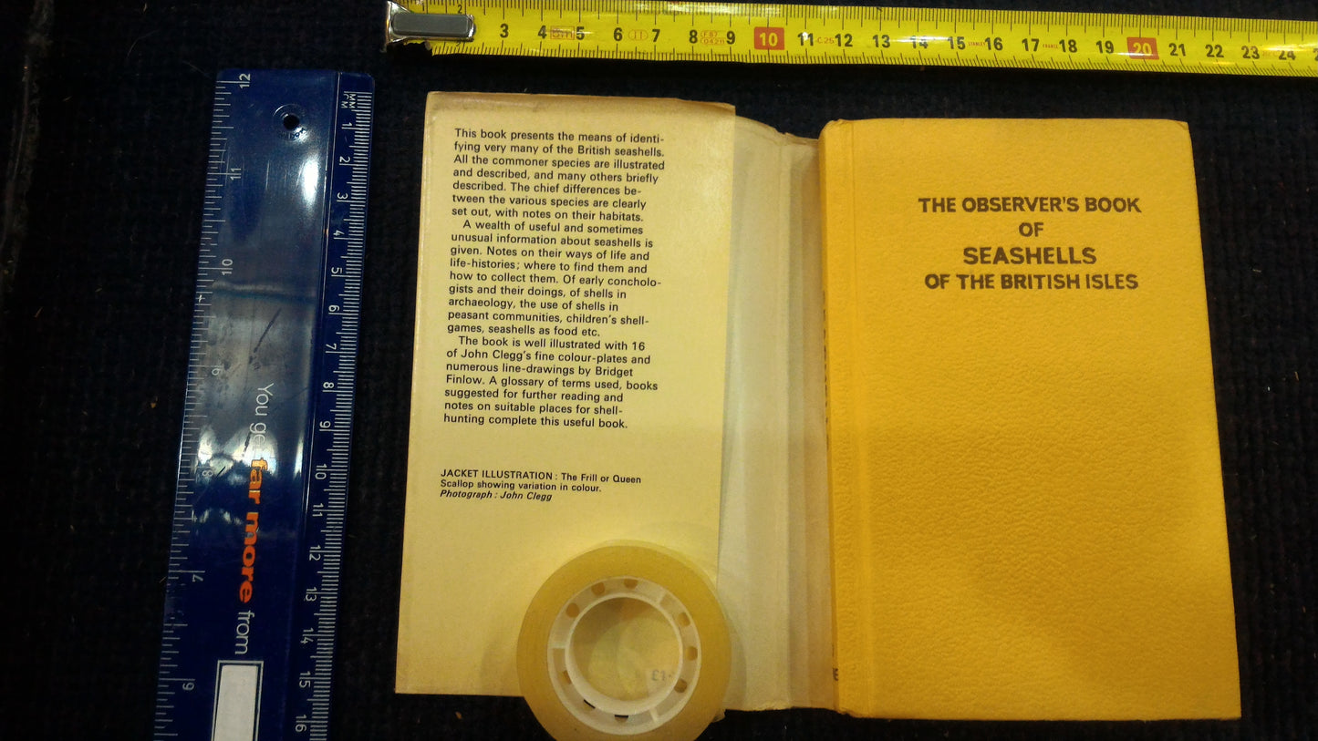 Seashells - The Observerwsn1977 book [BOK10122]