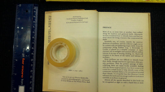 Seashells - The Observerwsn1977 book [BOK10122]