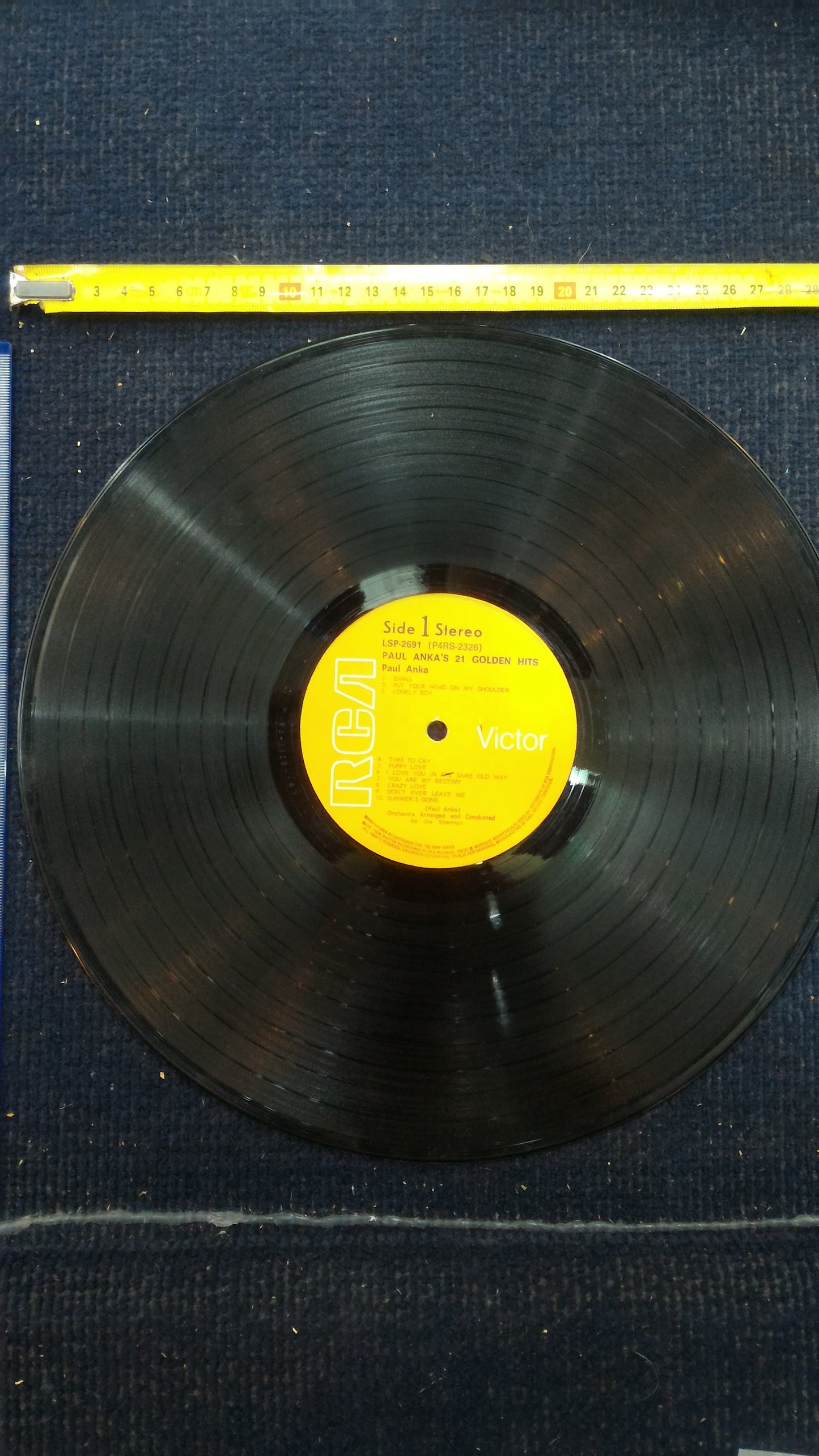 Paul Anka - 21 golden hits record [ENT10133]