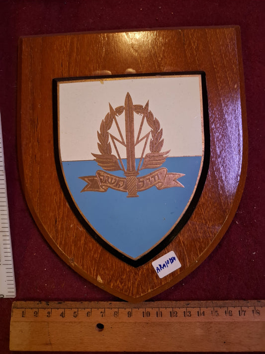 IDF Israeli old comunication force badge [OTH10173]