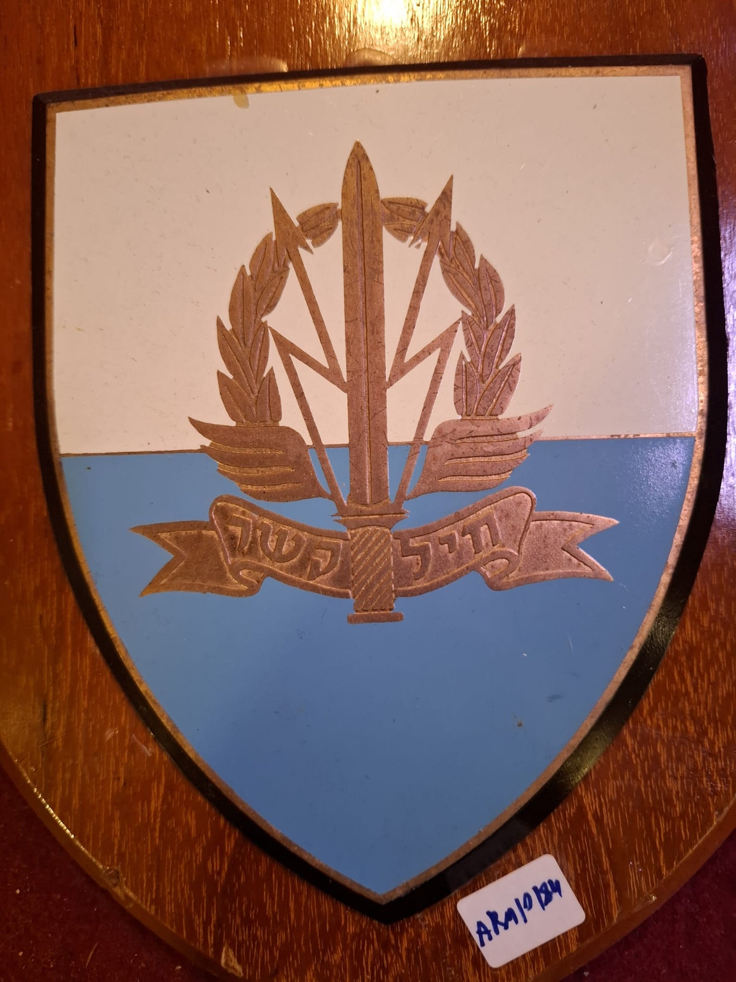 IDF Israeli old comunication force badge [OTH10173]