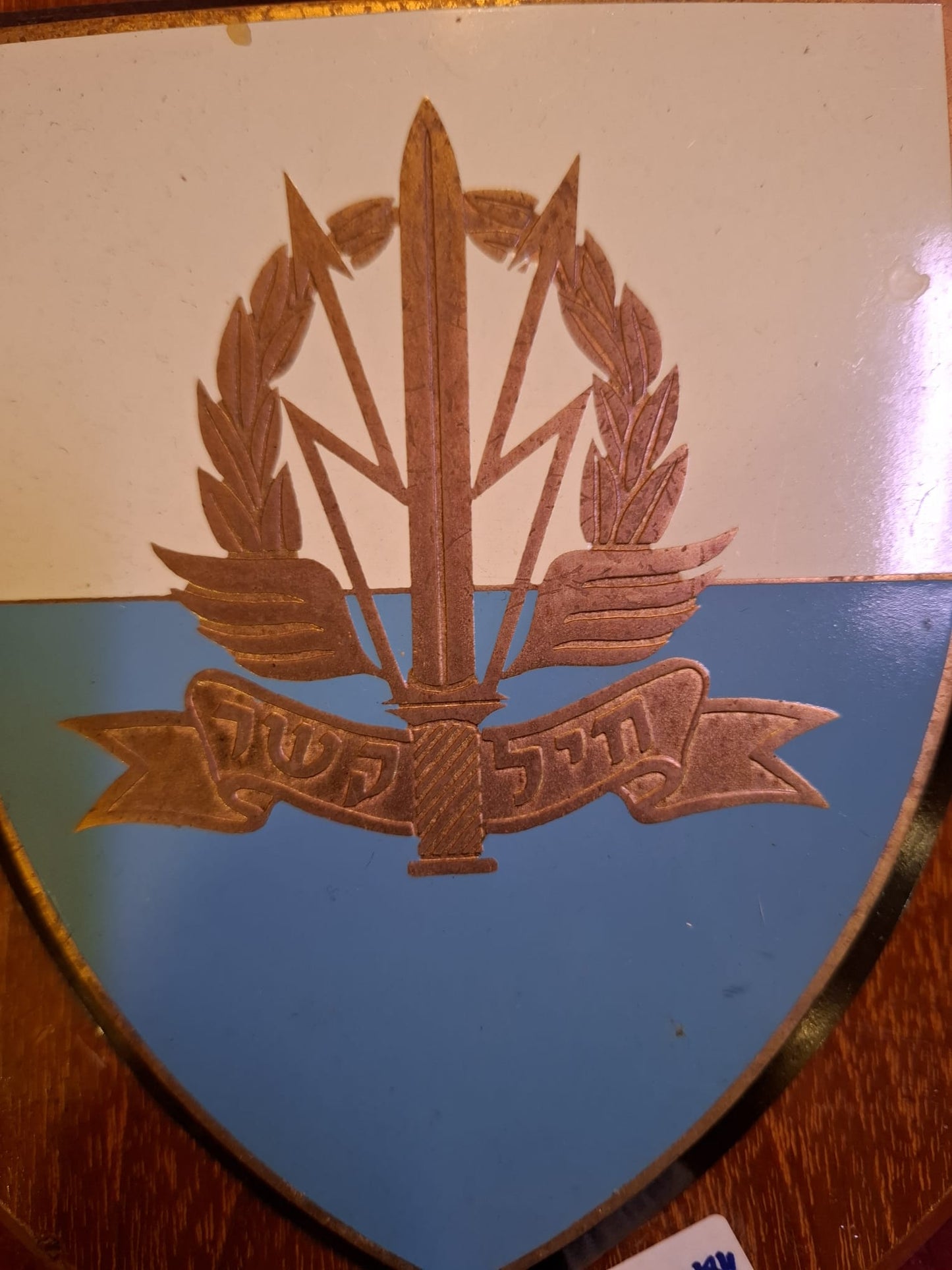 IDF Israeli old comunication force badge [OTH10173]